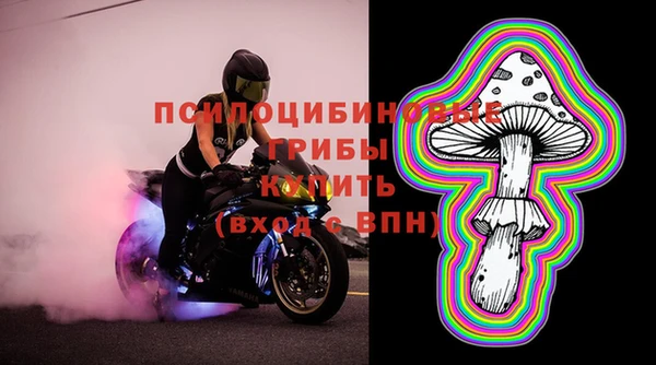 герыч Новозыбков