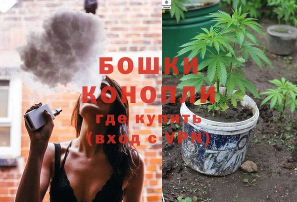 шишки Иноземцево